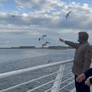 Feeding Birds on the Caspain Sea